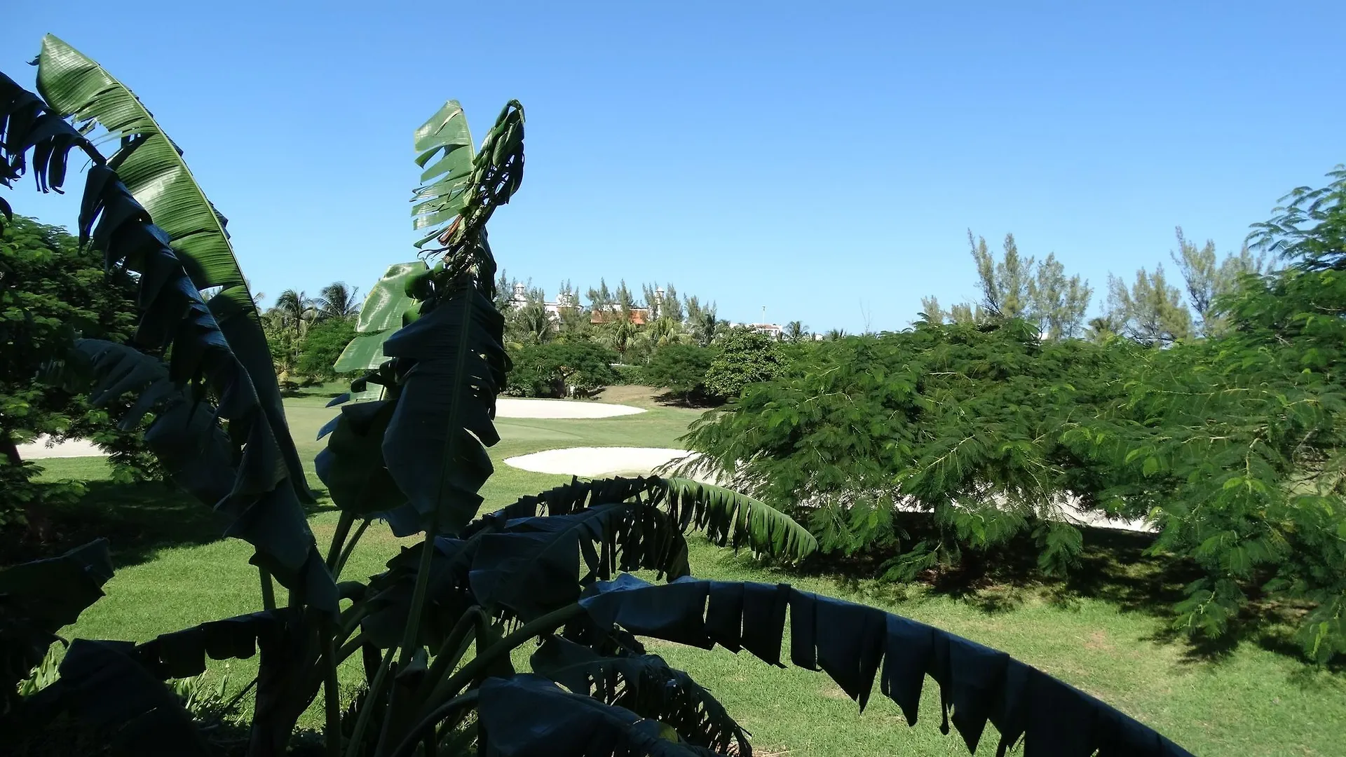 Mare By Andiani Apartment Cancun