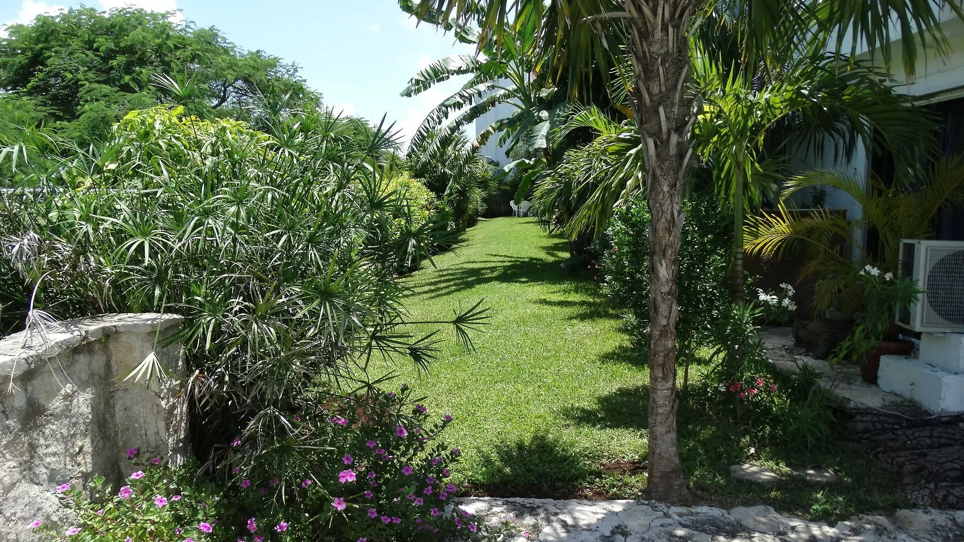 Mare By Andiani Apartment Cancun